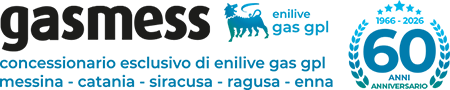 Gasmess Srl Logo