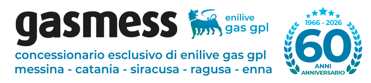 Gasmess Srl Logo